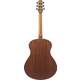 Ibanez AAM54-OPN Open Pore Natural
