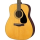 Yamaha F310 Natural