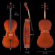 Classic Cantabile CP-100 Ensemble Violoncelle 1/2