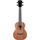 Set Ukulele Concert Cascha Mahogany Solid