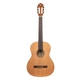 Ortega R122SN-L