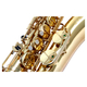 Classic Cantabile Winds TS-450 Bb Tenorsaxofoon Set