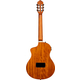 Ortega TourPlayer Deluxe Acero