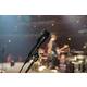Shure KSM8 Dualdyne Zwart