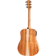 Taylor Academy 10e LTD