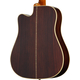 Epiphone Hummingbird Deluxe EC Autumn Burst