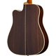 Epiphone Hummingbird Deluxe EC Natural
