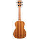 Voggenreiter Set Di Ukulele Valencia (Soprano)
