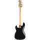 Fender Standard Precision Bass Black Set