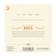D'Addario EJ63i Irish Tenor Banjo 3x Set