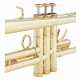 Trompeta Bb Lechgold TR-18L lacada