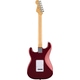 Fender Standard Stratocaster Candy Cola