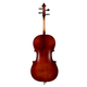 Classic Cantabile Brioso Cello Set 4/4