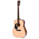 Ditson D-10L Natural Satin Set