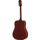 Epiphone Hummingbird Tribute Antique Natural