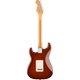 Fender Player II Stratocaster HSS MN Transparent Mocha Burst Set