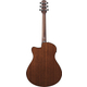 Ibanez AAM300CE-NT Natural High Gloss