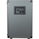 Darkglass DG210N Cabinet