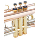 Lechgold Supreme CR-18L Bb-Kornett lackiert