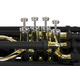 Classic Cantabile KT-30MS MardiBrass Kunststoff Bb-Tuba Matt-schwarz