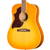Epiphone Hummingbird Tribute Lefthand Heritage Sunburst thumbnail 4