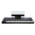 Korg Pa5X 61 International Deluxe Set thumbnail 4