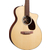 Martin SC-10E thumbnail 4