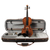 Stentor SR1864A 4/4 Verona Violinset  - Retoure (Zustand: gut) thumbnail 4