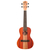 Leho My Leho MLUC-2M Set Ukulele Concert thumbnail 4