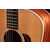 Taylor Gold Label 510e thumbnail 4