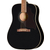 Epiphone Hummingbird Tribute Ebony thumbnail 4