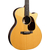 Martin Guitar GPC-16E Vintage Tint thumbnail 4