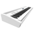 Roland FP-60X WH Set de Piano de Scène Blanc thumbnail 4