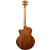 LAG HV10BCE HyVibe 10 Acoustic Bass thumbnail 4