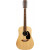 Martin Guitars D-X2E Brazilian 12-String thumbnail 4