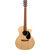 Martin Guitars GPC-X2E Cocobolo thumbnail 4