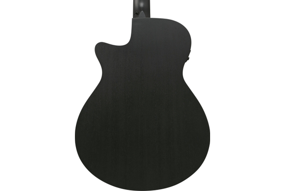 Ibanez AEG621-BOT Guitare Folk Black Out image 4
