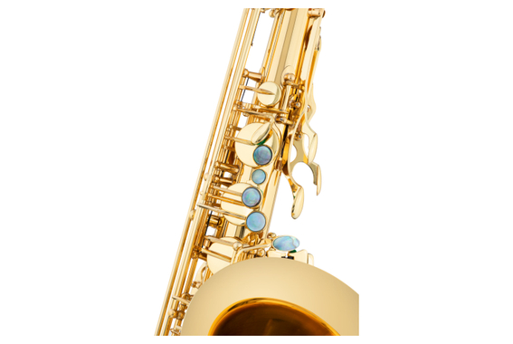 Lechgold LTS-20L Sassofono Tenore Verniciato image 4