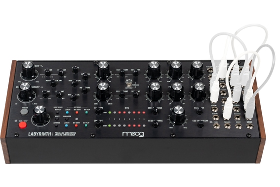 Moog Labyrinth  image 4