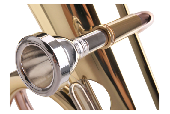Classic Cantabile TH-38 Junior Tenorhorn Set image 4