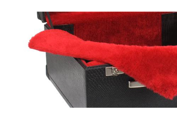 Alpenklang Akkordeonkoffer 72 Bass Standard image 4