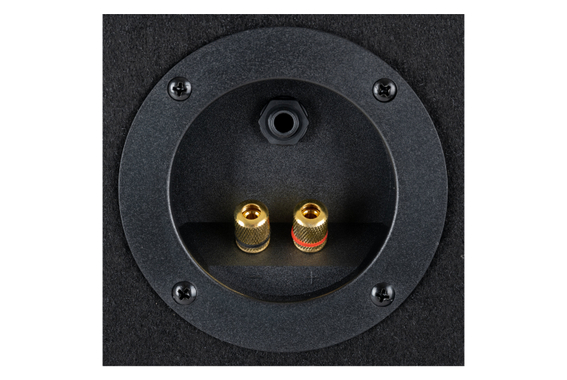 McGrey TP-8 DJ- en Partybox 300 W image 4