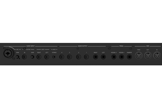 Korg Pa5X 61 Musikant Deluxe Set image 4
