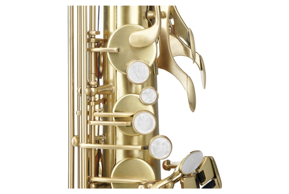 Classic Cantabile Winds TS-450 Tenor Saxofón Cepillado image 4