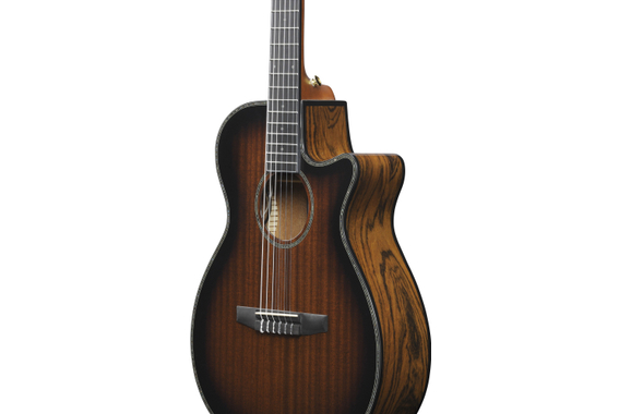 Ibanez AEG74N-MHS Mahogany Sunburst image 4