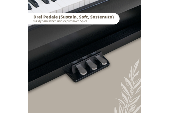 Classic Cantabile DP-220 SM E-Piano Schwarz matt  - Retoure (Zustand: sehr gut) image 4