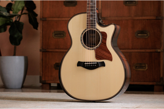 Taylor Builder's Edition 814ce Next Generation image 4