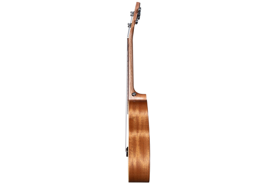 Cascha Art Series Tenor Ukulele Urban image 4