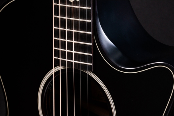 Taylor Builder's Edition 324ce Next Generation image 4