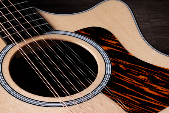Taylor 454ce Next Generation image 4
